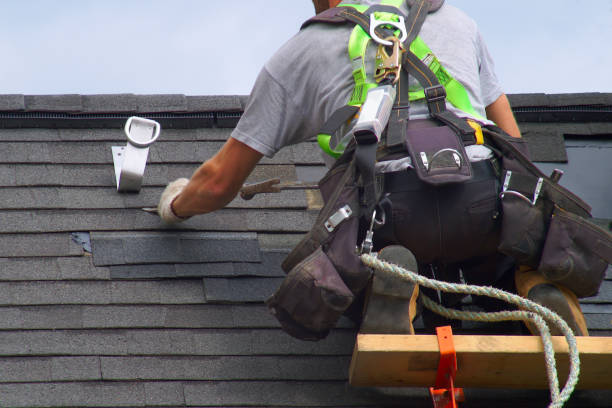 Best Asphalt Shingles Roofing  in Burlington, WA